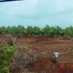 2005-02 Chanthaburi Sapphire MIne 1