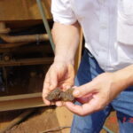 2005-02 Chanthaburi Sapphire MIne 35