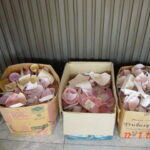 2005-02 Thailand Treating sophisticated 13.jpg