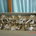 2005-02 Thailand Treating sophisticated 8.jpg