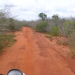 2006-10 Umba Valley 104