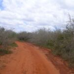 2006-10 Umba Valley 105