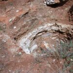 2006-10 Umba Valley 106