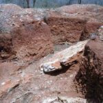 2006-10 Umba Valley 107