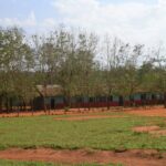 2006-10 Umba Valley 11