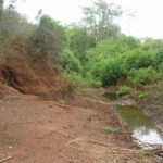 2006-10 Umba Valley 21