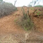 2006-10 Umba Valley 22