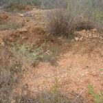 2006-10 Umba Valley 25