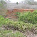 2006-10 Umba Valley 28