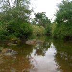 2006-10 Umba Valley 29