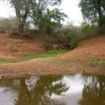 2006-10 Umba Valley 31