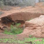 2006-10 Umba Valley 32