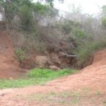 2006-10 Umba Valley 33