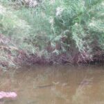 2006-10 Umba Valley 34