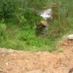 2006-10 Umba Valley 36