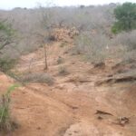 2006-10 Umba Valley 42