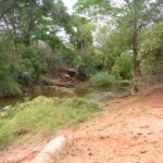 2006-10 Umba Valley 43