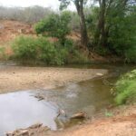 2006-10 Umba Valley 44