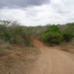 2006-10 Umba Valley 46