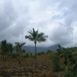 2006-10 Umba Valley 64