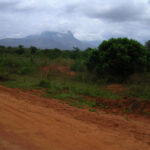 2006-10 Umba Valley 66