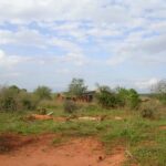 2006-10 Umba Valley 7