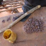 2006-10 Umba Valley 74