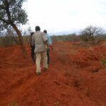 2006-10 Umba Valley 79