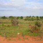 2006-10 Umba Valley 8