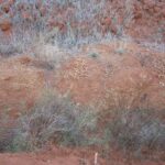 2006-10 Umba Valley 80