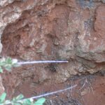 2006-10 Umba Valley 87