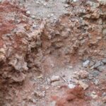 2006-10 Umba Valley 88