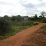 2006-10 Umba Valley 9