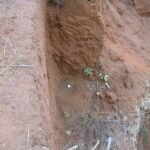 2006-10 Umba Valley 92