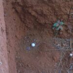 2006-10 Umba Valley 93