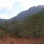 2006-10 Umba Valley 96