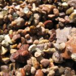 2008-08 Gem Mountain MT 12