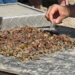 2008-08 Gem Mountain MT 7