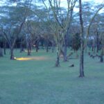 2009-04 Naivasha Hells Gate 10