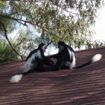 2009-04 Naivasha Hells Gate 13