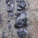 2009-04 Naivasha Hells Gate 19