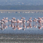 2009-04 Naivasha Hells Gate 2