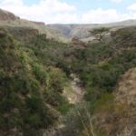 2009-04 Naivasha Hells Gate 23