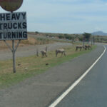 2009-04 Naivasha Hells Gate 30
