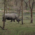 2009-04 Naivasha Hells Gate 36