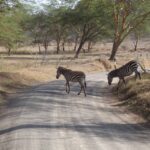 2009-04 Naivasha Hells Gate 4