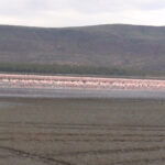 2009-04 Naivasha Hells Gate 41
