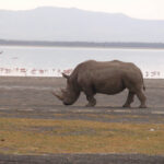 2009-04 Naivasha Hells Gate 42