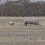 2009-04 Naivasha Hells Gate 43