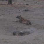 2009-04 Naivasha Hells Gate 47
